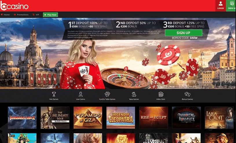 casinyeam online casino login